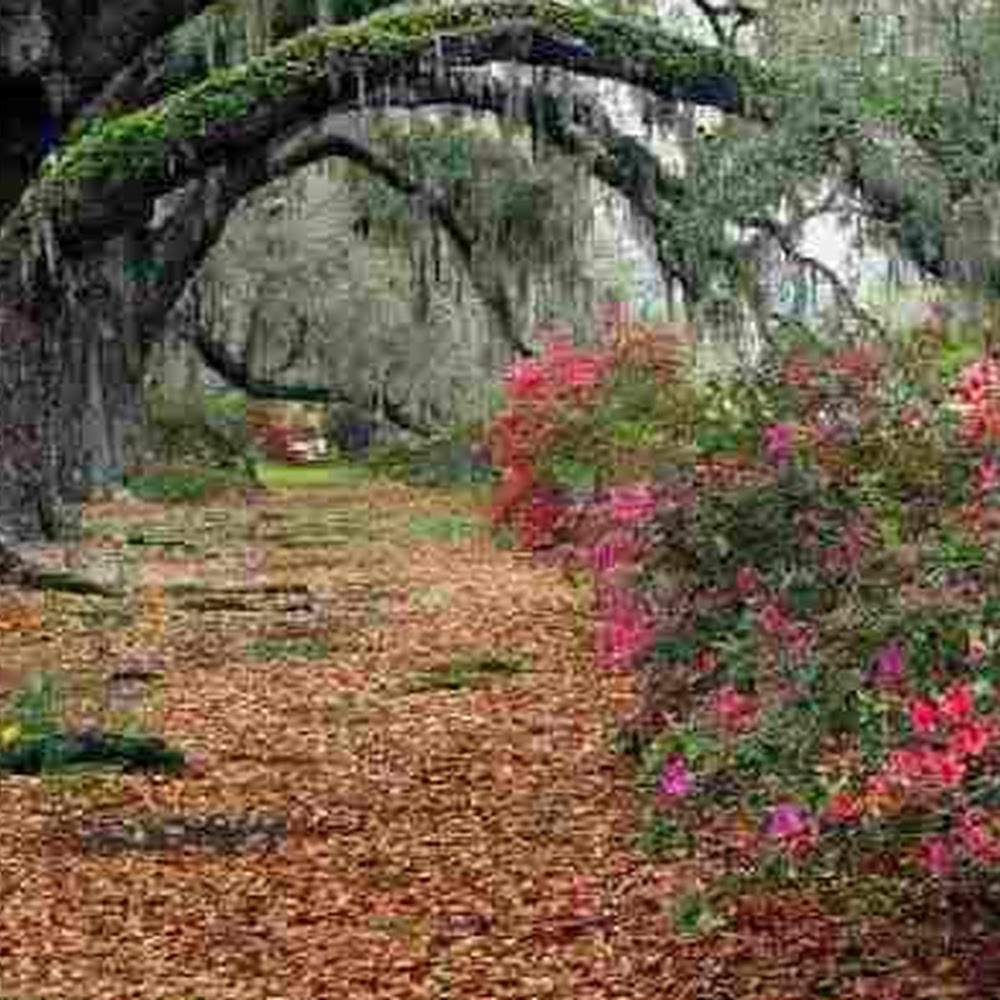 Meet your Posher, Beautiful